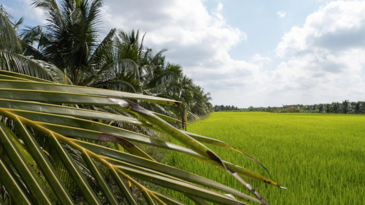 Coco Happy Farm Villa Ben Tre Exterior photo