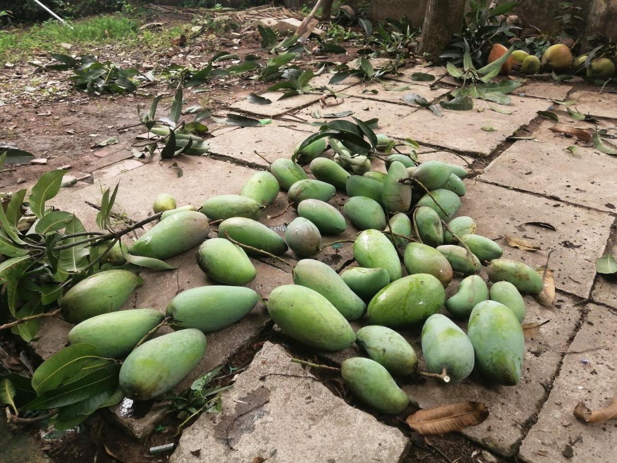 Coco Happy Farm Villa Ben Tre Exterior photo